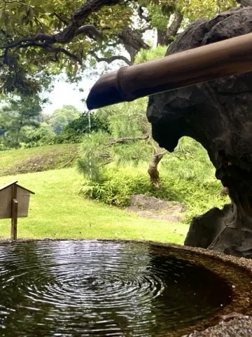 竹の樋の先から水が一滴落ち、手前の丸い水鉢の水面に同心円の波紋が広がる。奥に芝生と松、立て札。