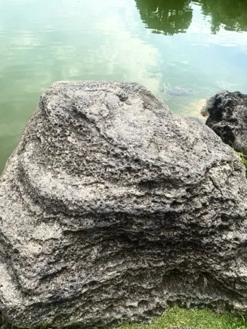 池のほとりに据えられた、表面が細かい穴だらけの大きな灰色の石。奥に緑色の水面と木の映り込み。