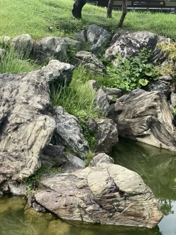 池の岸に大小の石が層になって組まれ、隙間から草や低木が伸びる。手前下に水面。