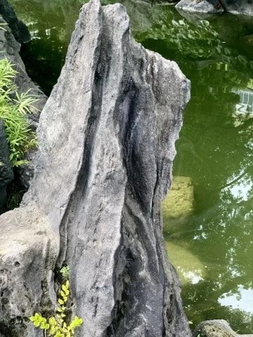 池のふちに縦に立てられた、筋の入った大きな灰色の石。右に緑色の水面と木の映り込み、左下にシダ。