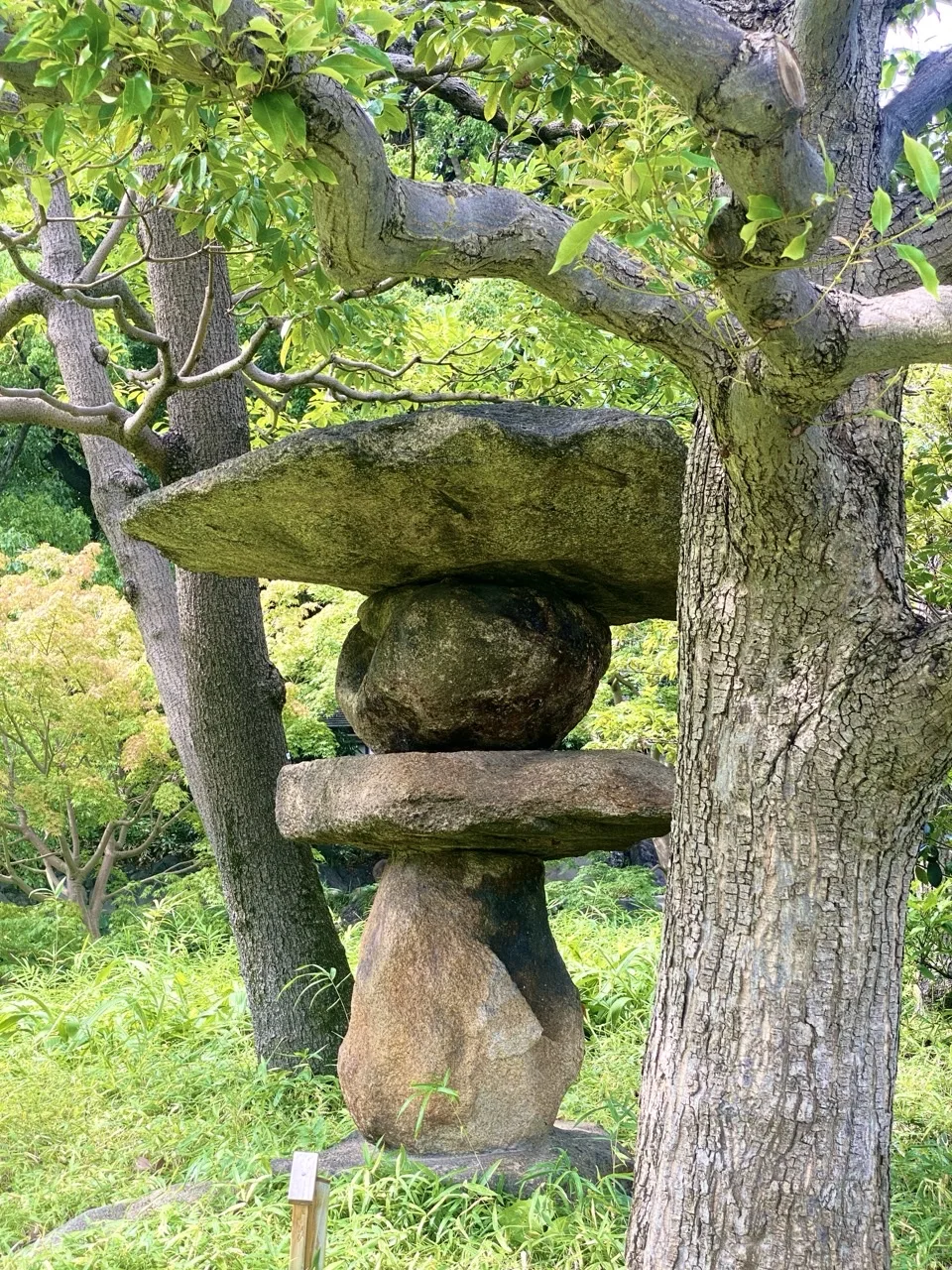 平らな石と丸い自然石を積み重ねた形の石灯籠。左右に木の幹が立ち、枠のように囲む。