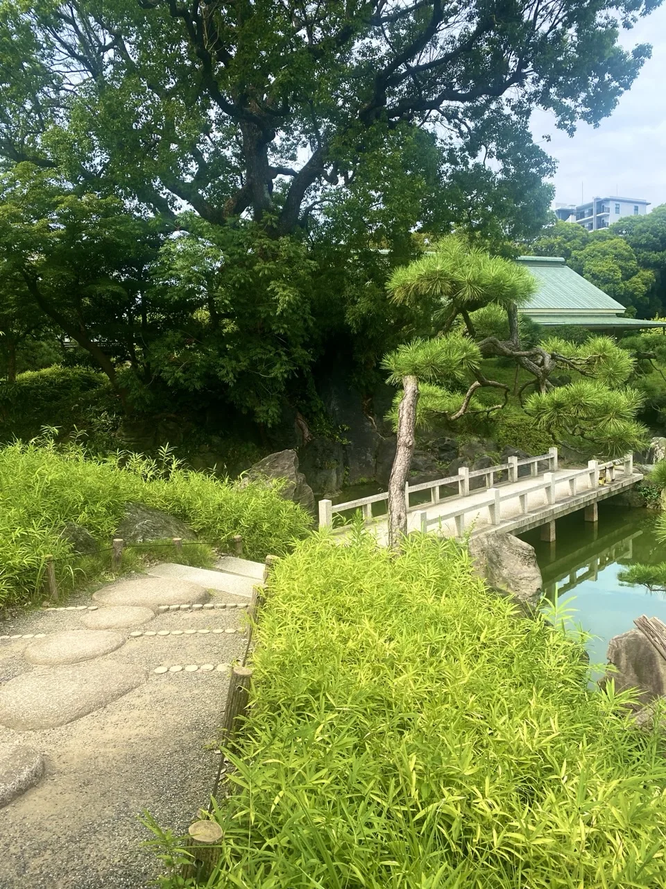 手前に丸い飛石を敷いた園路、右に笹の茂み。奥に白い欄干の石橋と松、緑色の屋根の建物。
