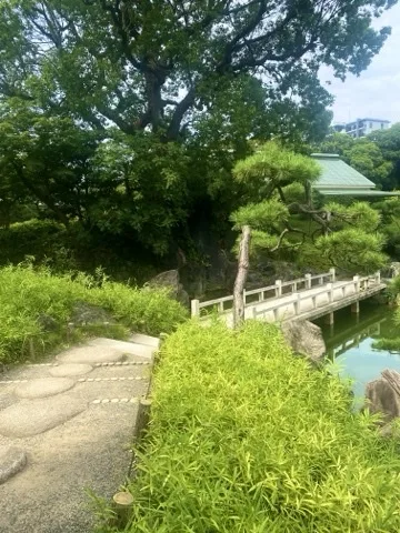 手前に丸い飛石を敷いた園路、右に笹の茂み。奥に白い欄干の石橋と松、緑色の屋根の建物。