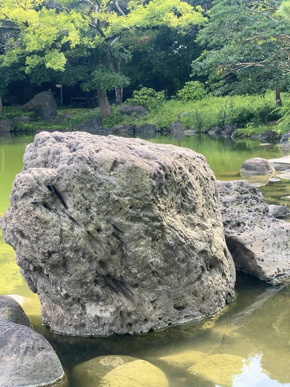 池の中に据えられた、穴の多い大きな岩。背後に水面と木々。