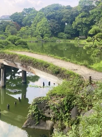 池に架かる木の橋を横から見た構図。橋脚が水面に映る。右手前に蔦の絡む岩。