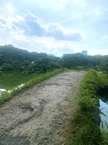 池沿いの砂利道が斜めに奥へ伸びる。左に池と松、遠くにビル群。道の先に人影が二つ。