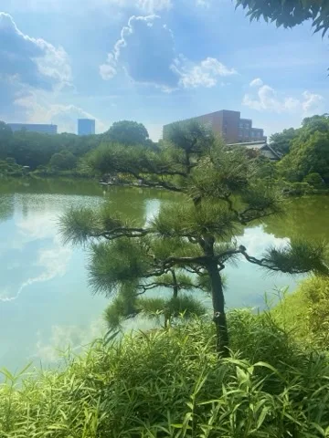 手前の細い草越しに池と整えられた松、対岸に赤煉瓦の建物と和風建築の屋根。水面に空が映る。
