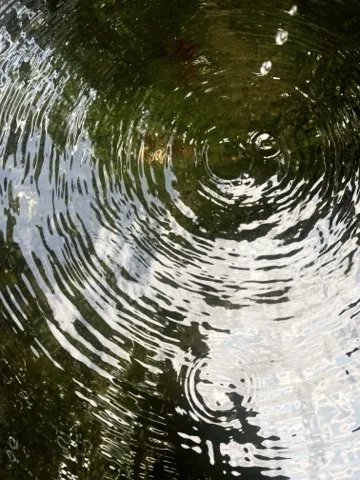 水面の波紋の接写。緑と空の映り込みが同心円状に揺れている。