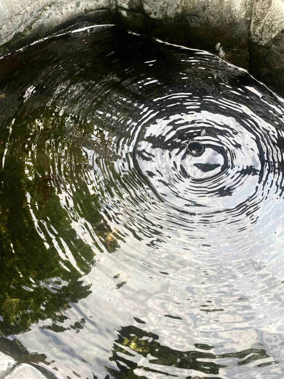 岩に囲まれた水面の波紋の接写。中心に落下点があり、周囲に岩肌と緑の映り込み。