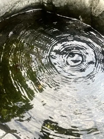 岩に囲まれた水面の波紋の接写。中心に落下点があり、周囲に岩肌と緑の映り込み。
