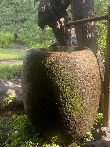 掛樋から水が落ちる大きな石の水鉢。側面が緑の苔に覆われ、上部は乾いた石肌のまま。