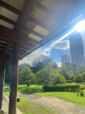 東屋の軒の下から見た庭。軒の線の下に芝と木立、高層ビルが見え、右上から強い日が差す。
