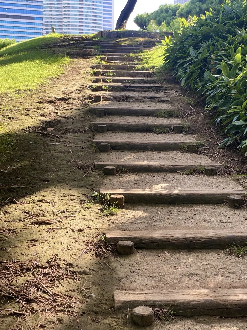 斜面を上る土の階段。段の縁に古びた角材が渡され、両側に芝と低木、奥にビル。