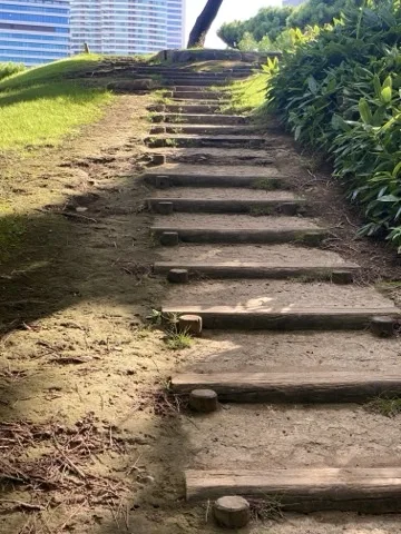 斜面を上る土の階段。段の縁に古びた角材が渡され、両側に芝と低木、奥にビル。