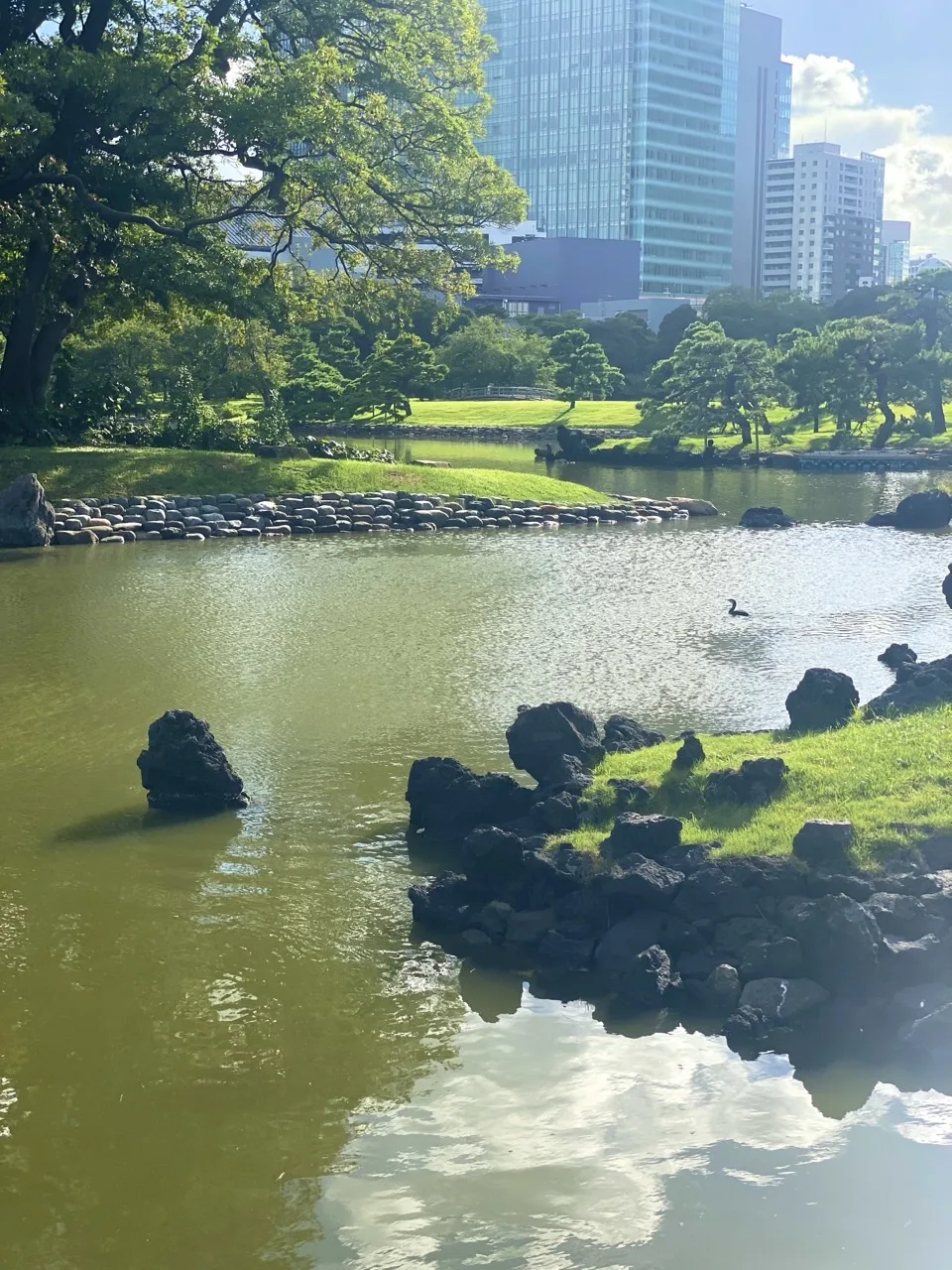 緑色の池に黒く角ばった石が点在し、水面に空と雲が映る。奥に石積みの岸と芝、木立、高層ビル。水鳥が一羽泳ぐ。