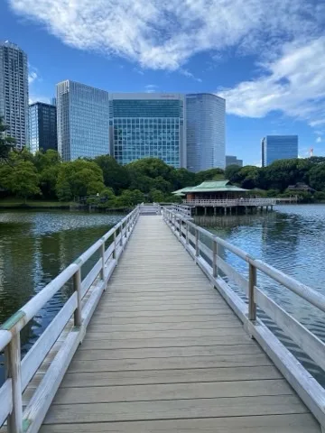 池をまっすぐ渡る白い木の橋。正面に緑色の屋根の茶屋、その奥に高層ビルと青空。