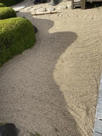 砂利を敷いた庭。左手に丸く刈り込んだ低木が並び、その影が砂の上に大きく落ちる。