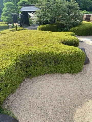 低く丸く刈り込まれた植え込みが波打つ縁を作り、その手前に砂利。奥に黒い門と木立。