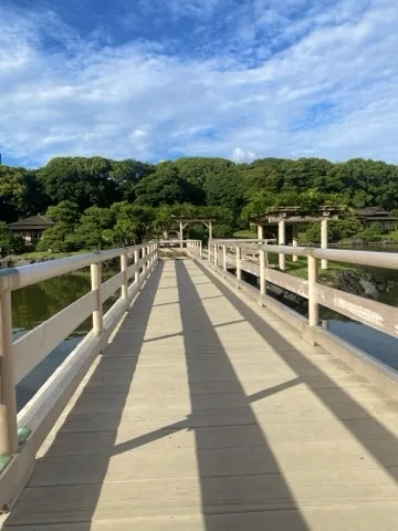 池を渡る白い木の橋。橋板に欄干の影が斜めに落ち、奥に藤棚と木立、茶屋、青空。