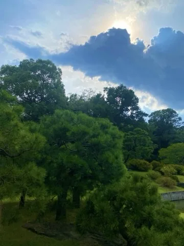 こんもり茂った木立の上に雲の広がる空が見える写真。