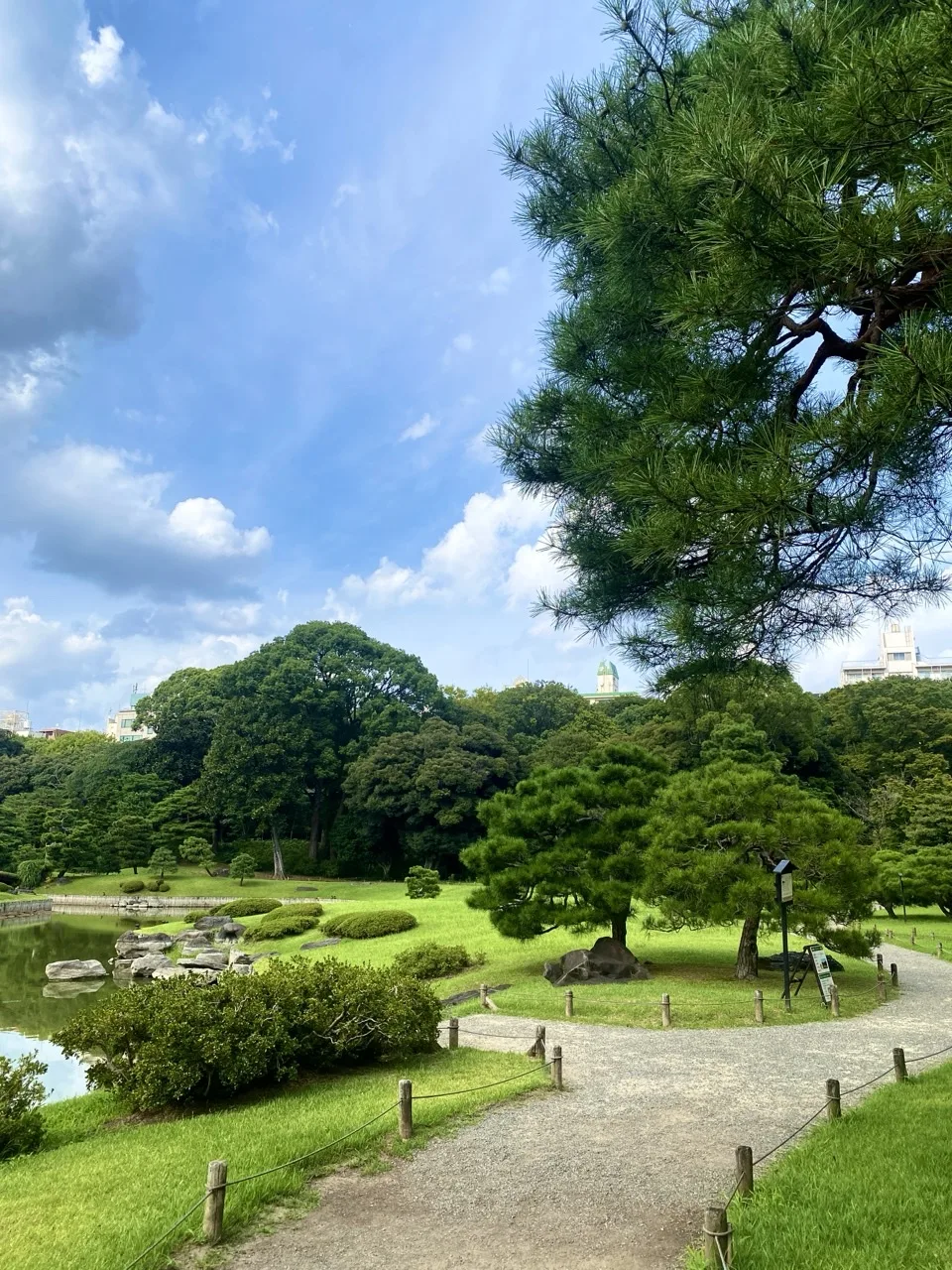 池のほとりに立つ木々と芝生を撮った写真。空に雲が広がる。