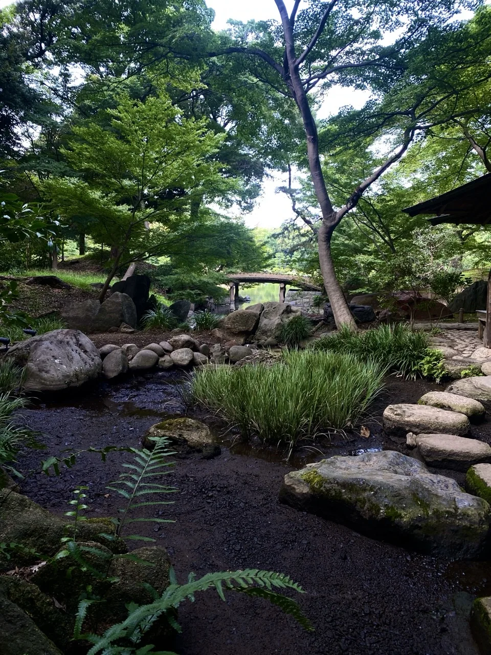 木々の陰に茂る下草と石を撮った写真。奥に橋のような構造物が見える。