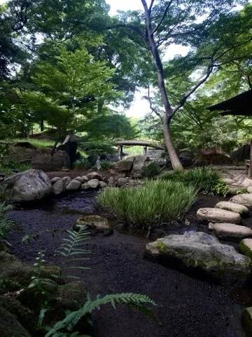木々の陰に茂る下草と石を撮った写真。奥に橋のような構造物が見える。