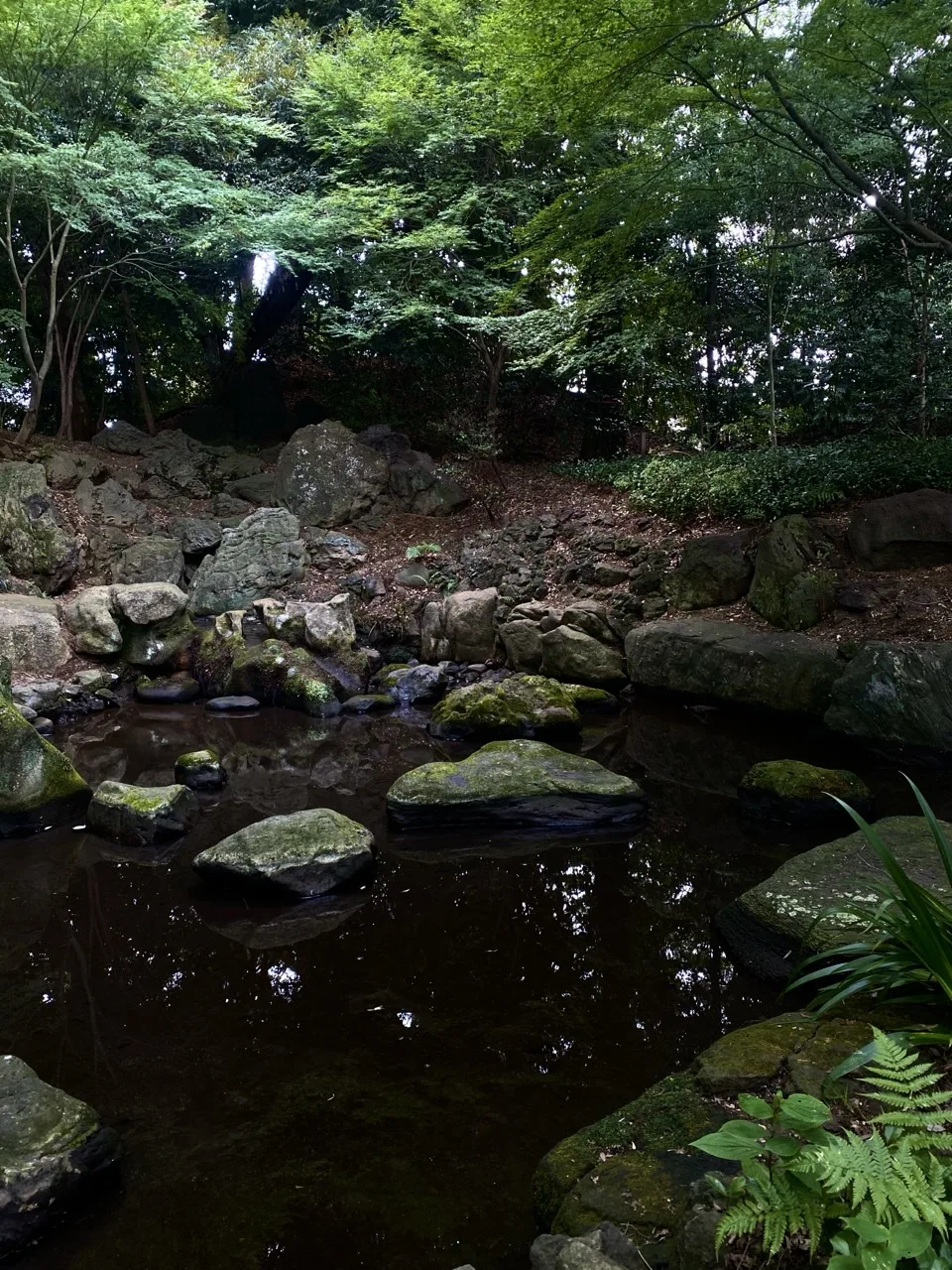 苔むした石組みの間を水が流れる、木陰の景観を撮った写真。