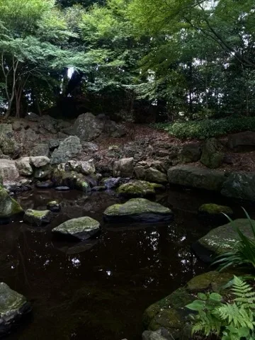 苔むした石組みの間を水が流れる、木陰の景観を撮った写真。