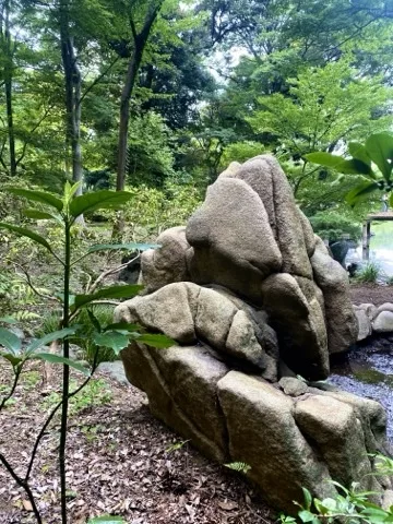 大小の石が積み重なった景石を若木越しに撮った写真。