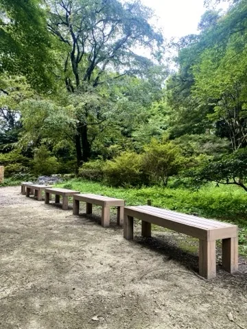 木々に囲まれた場所に置かれた木製の長いベンチを撮った写真。