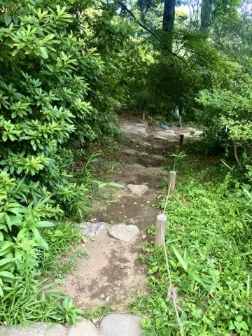 斜面に据えられた石段を撮った写真。両脇に笹が茂る。