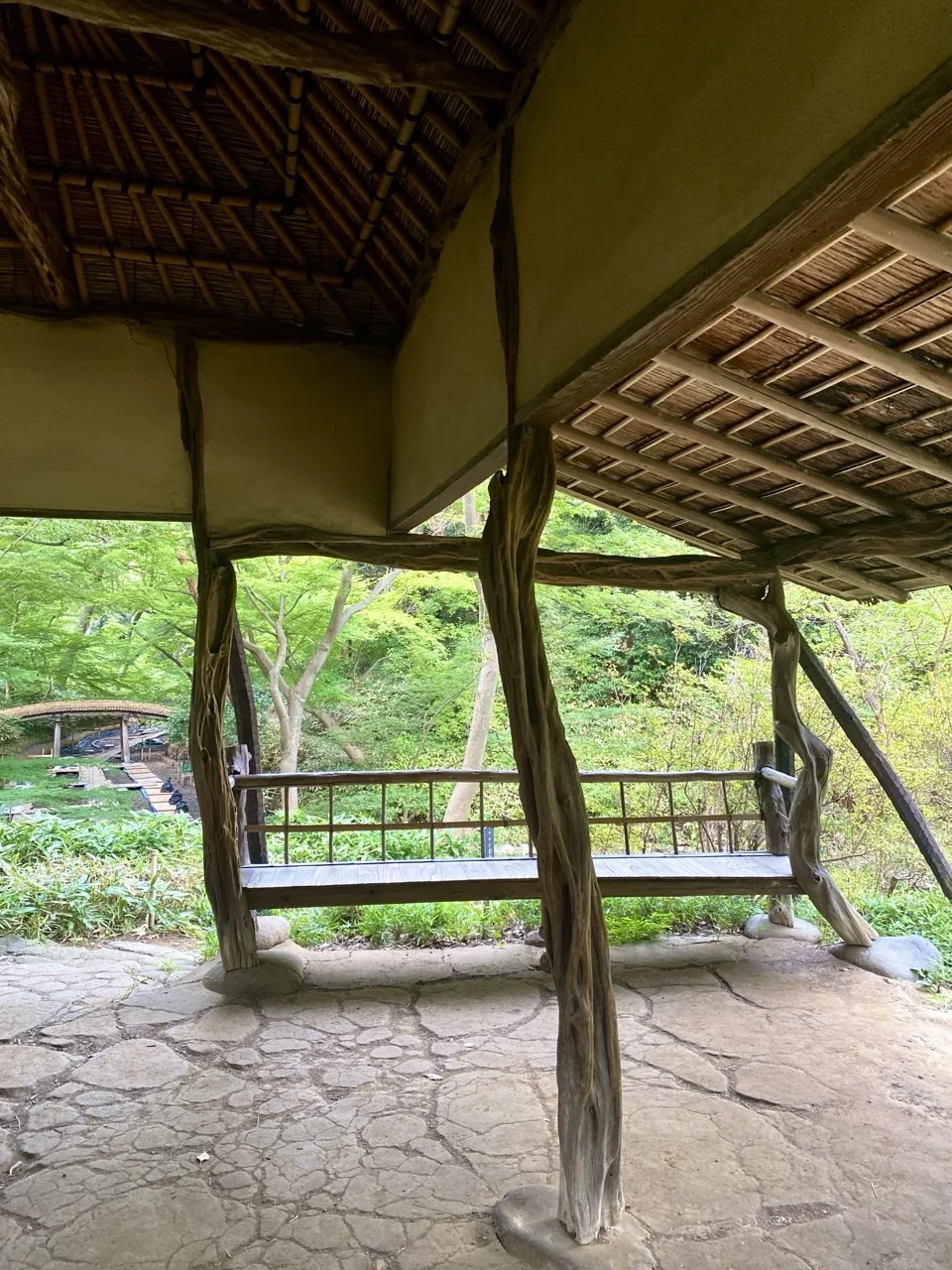藤棚の木組みの下に置かれたベンチを見上げるように撮った写真。
