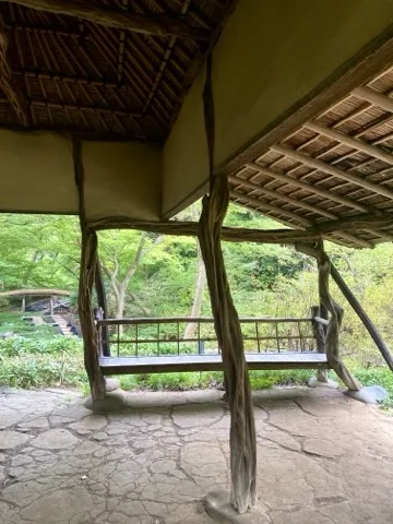 藤棚の木組みの下に置かれたベンチを見上げるように撮った写真。