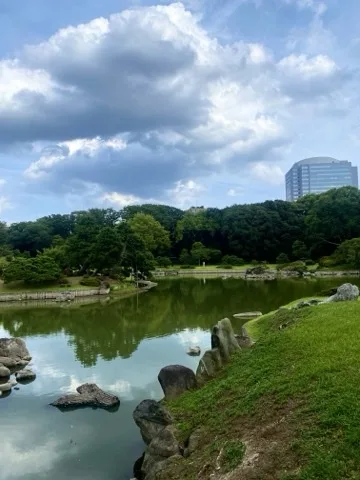 曇り空の下、対岸の緑が水面に映り込む池を撮った写真。手前にビルが見える。