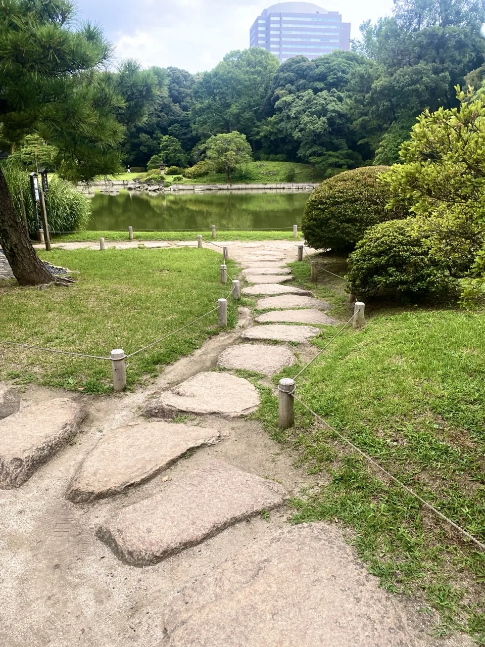 芝生の上に並ぶ飛び石を撮った写真。奥に池と木立が見える。