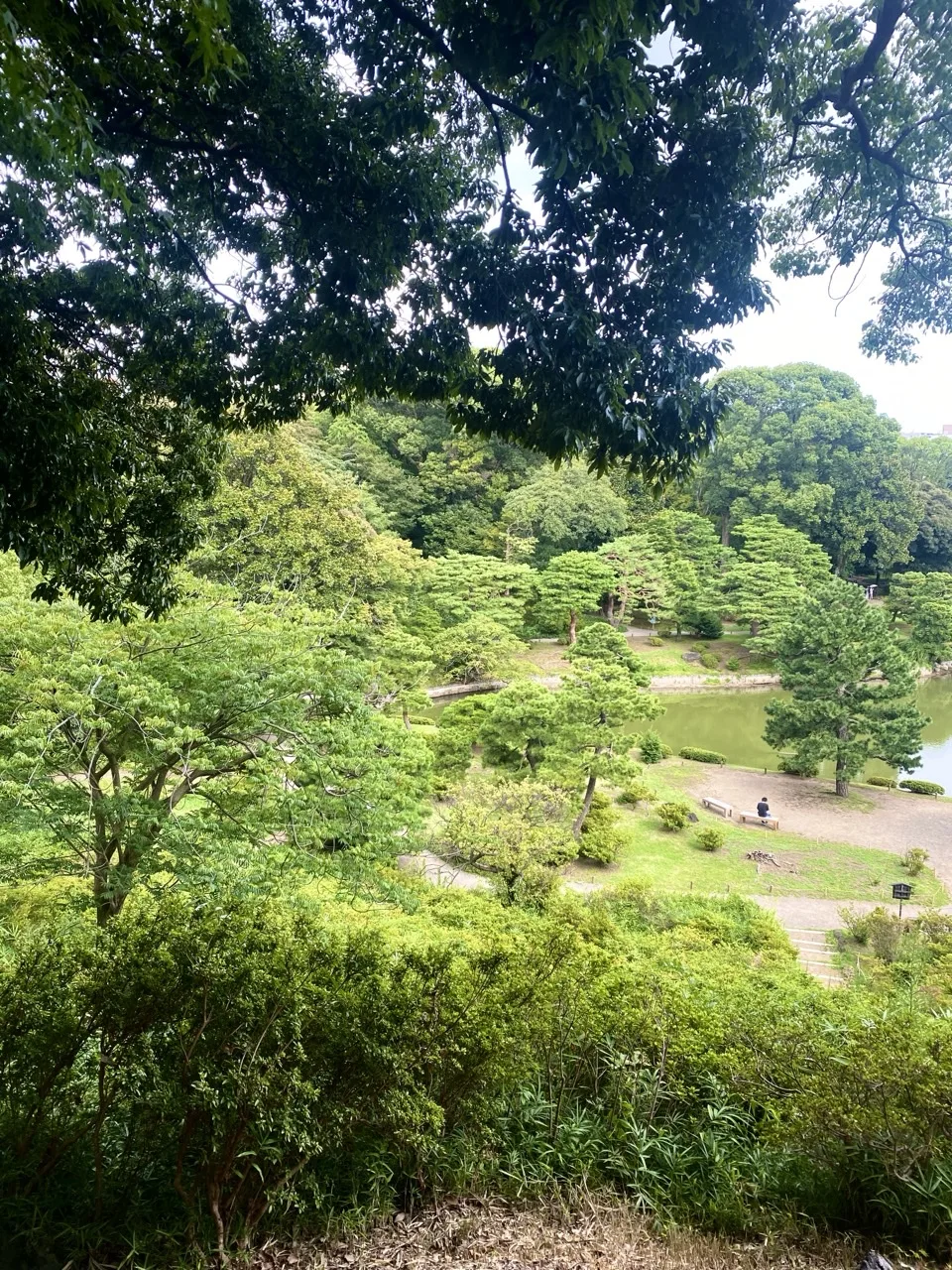 手前の木々の間から庭園の広がりを見渡した写真。
