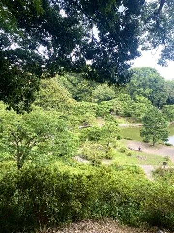 手前の木々の間から庭園の広がりを見渡した写真。