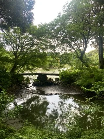 池越しに遠くの橋を撮った写真。水面に橋の影が映り込んでいる。
