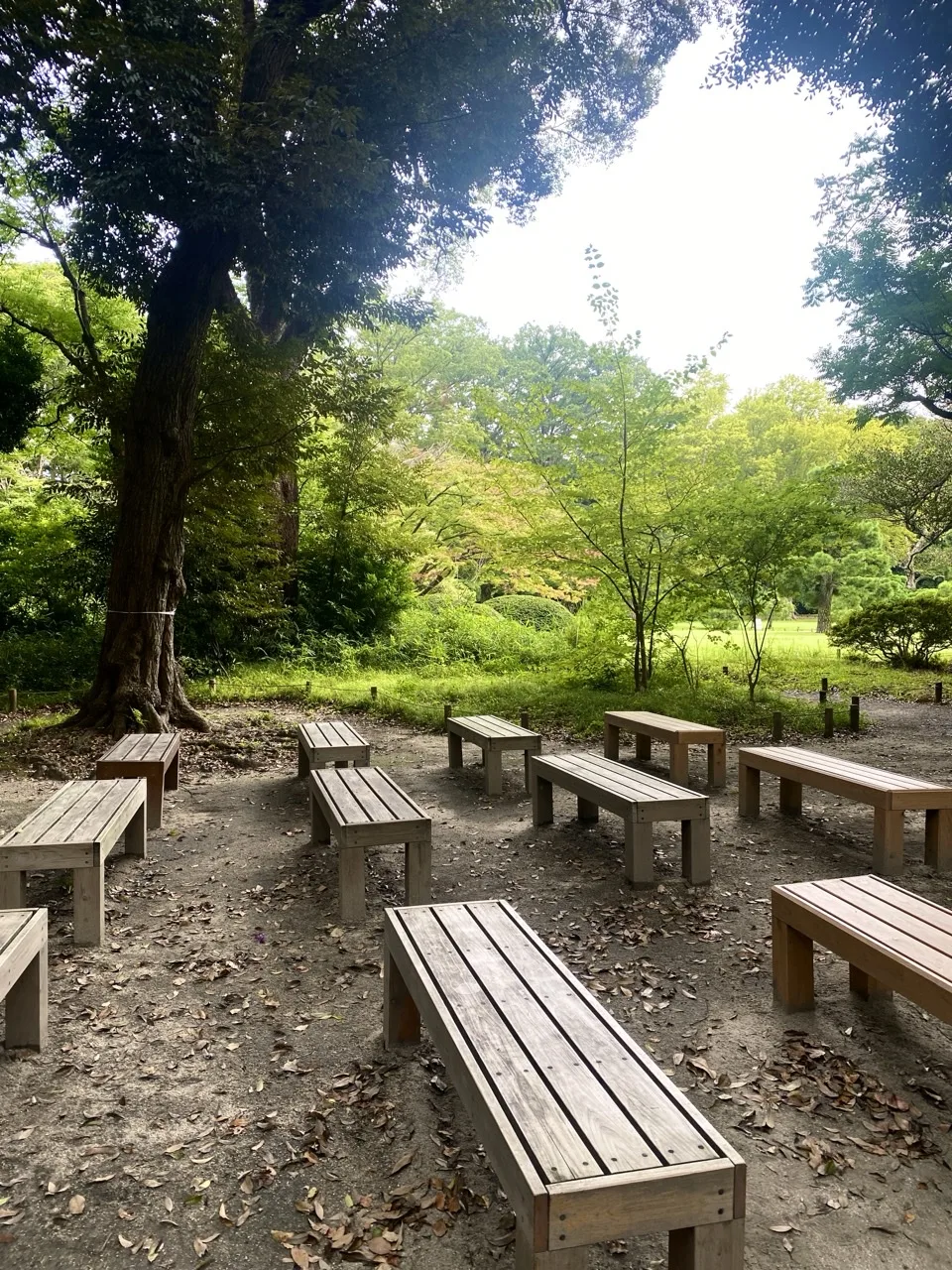 木陰に置かれた木製のベンチとテーブルを撮った写真。