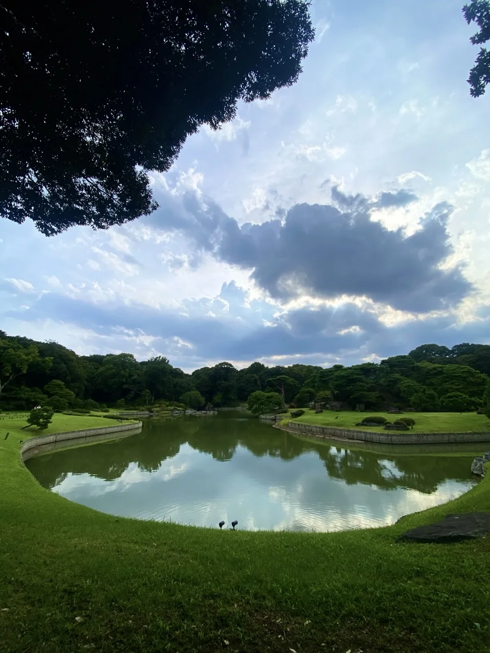 六義園の池を撮った写真。対岸の木立が水面に映り込んでいる。