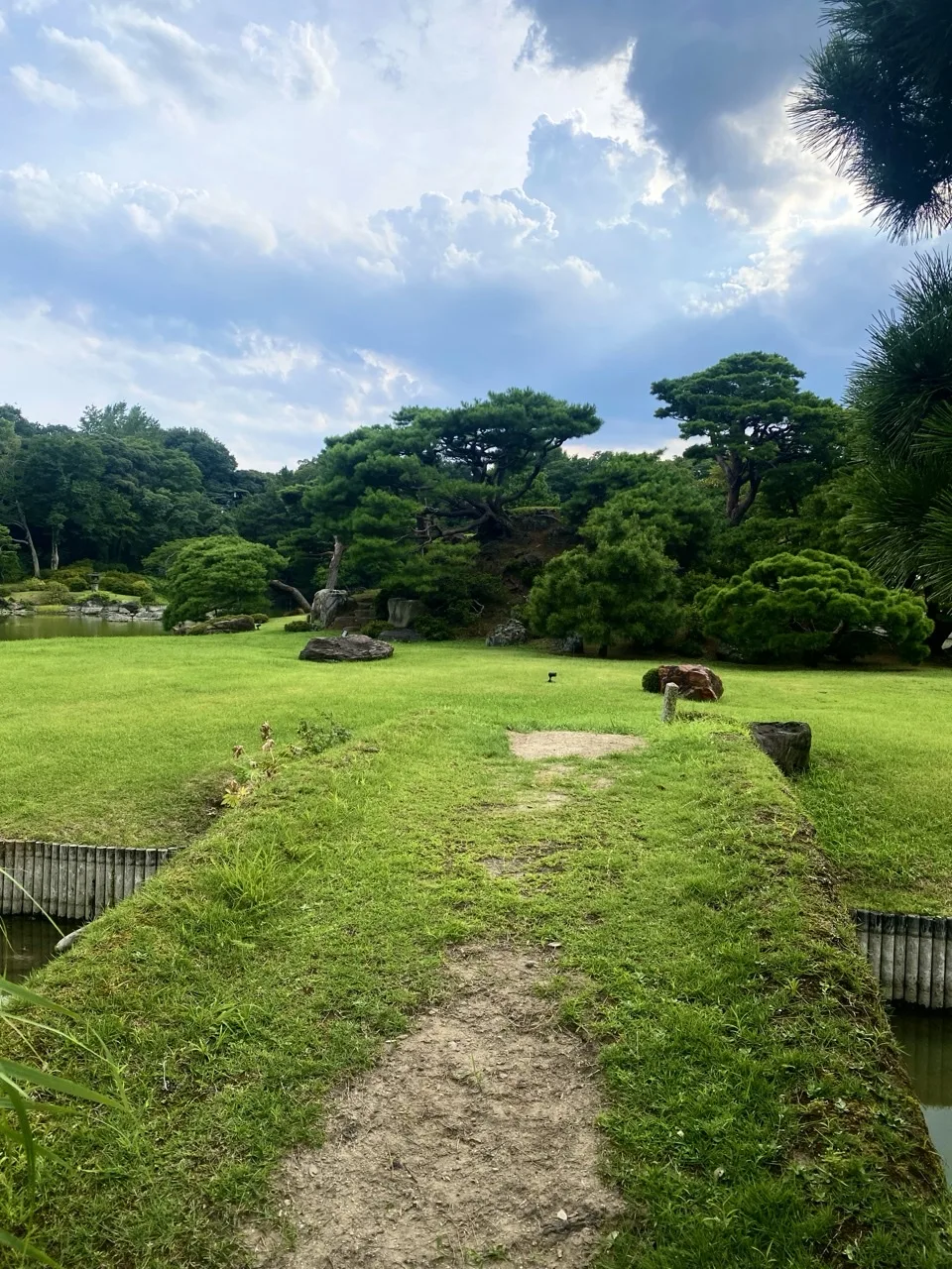 夕暮れの空を背景に、芝生の中を通る道を撮った写真。