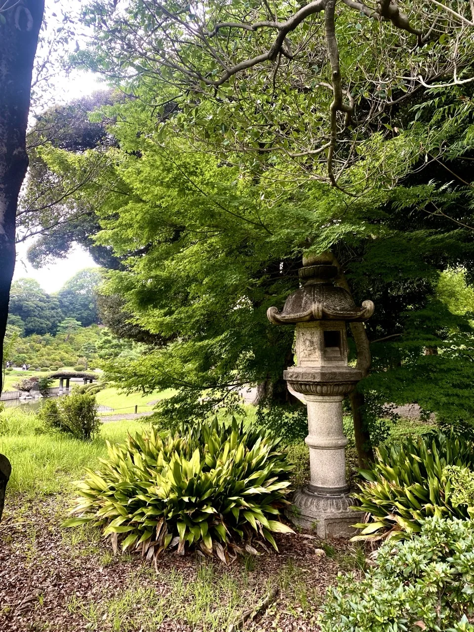 刈り込まれた植え込みのそばに立つ石灯籠を撮った写真。