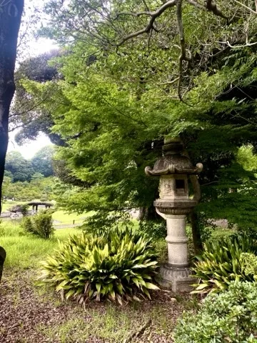 刈り込まれた植え込みのそばに立つ石灯籠を撮った写真。