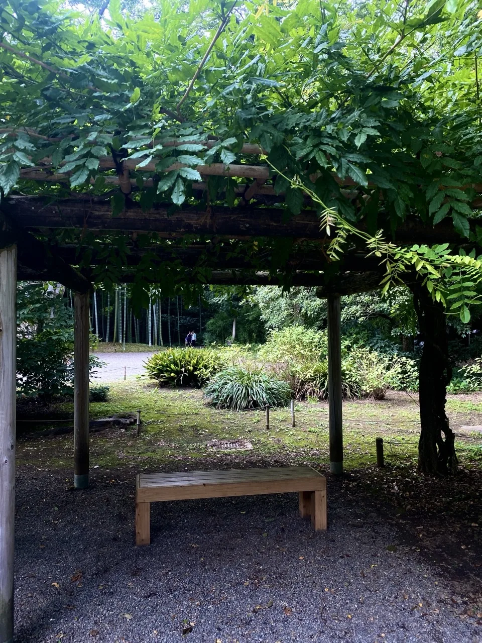 東屋の屋根の下に置かれた木製のベンチを撮った写真。