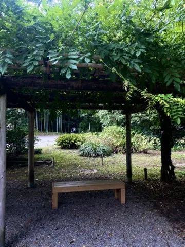 東屋の屋根の下に置かれた木製のベンチを撮った写真。