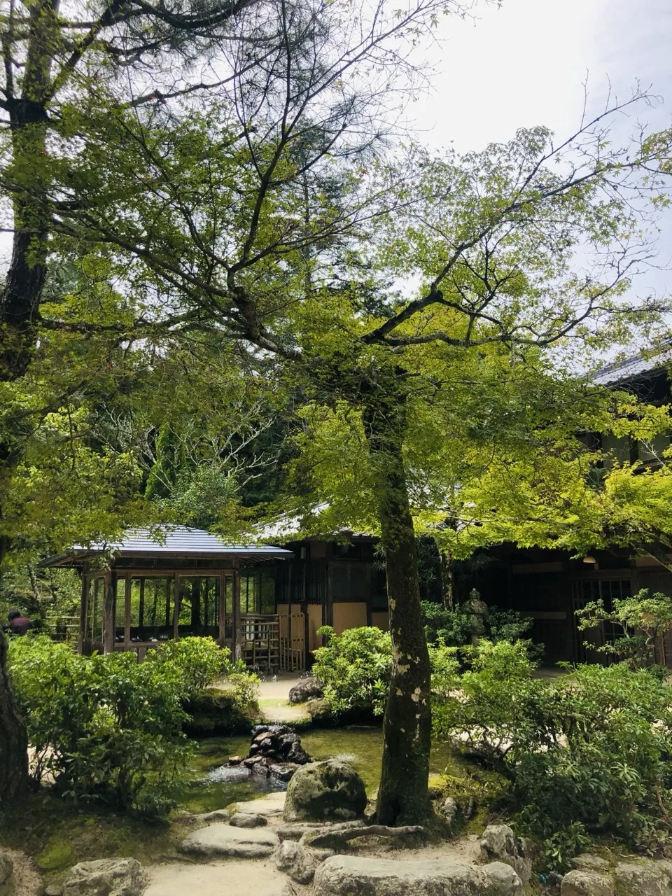 木立の下に瓦屋根の四阿があり、その中に腰掛けが見える。手前に石組と水の流れ、右手に木造の建物。