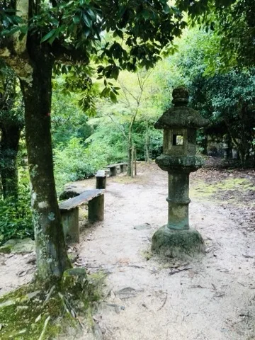 木立に囲まれた土の道の脇に、苔のついた石灯籠が立つ。左手に細長い木の腰掛けが二つ並ぶ。