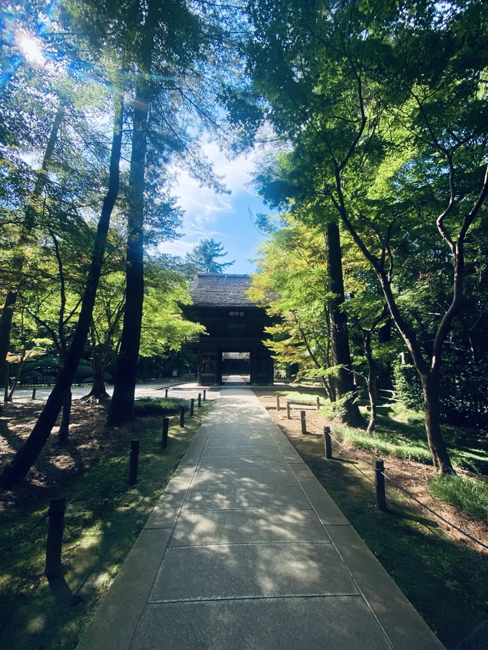石畳の参道がまっすぐ奥へ延び、その正面に瓦屋根の山門がある。両脇は高い木立で、左上から日が差す。