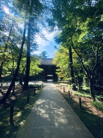 石畳の参道がまっすぐ奥へ延び、その正面に瓦屋根の山門がある。両脇は高い木立で、左上から日が差す。